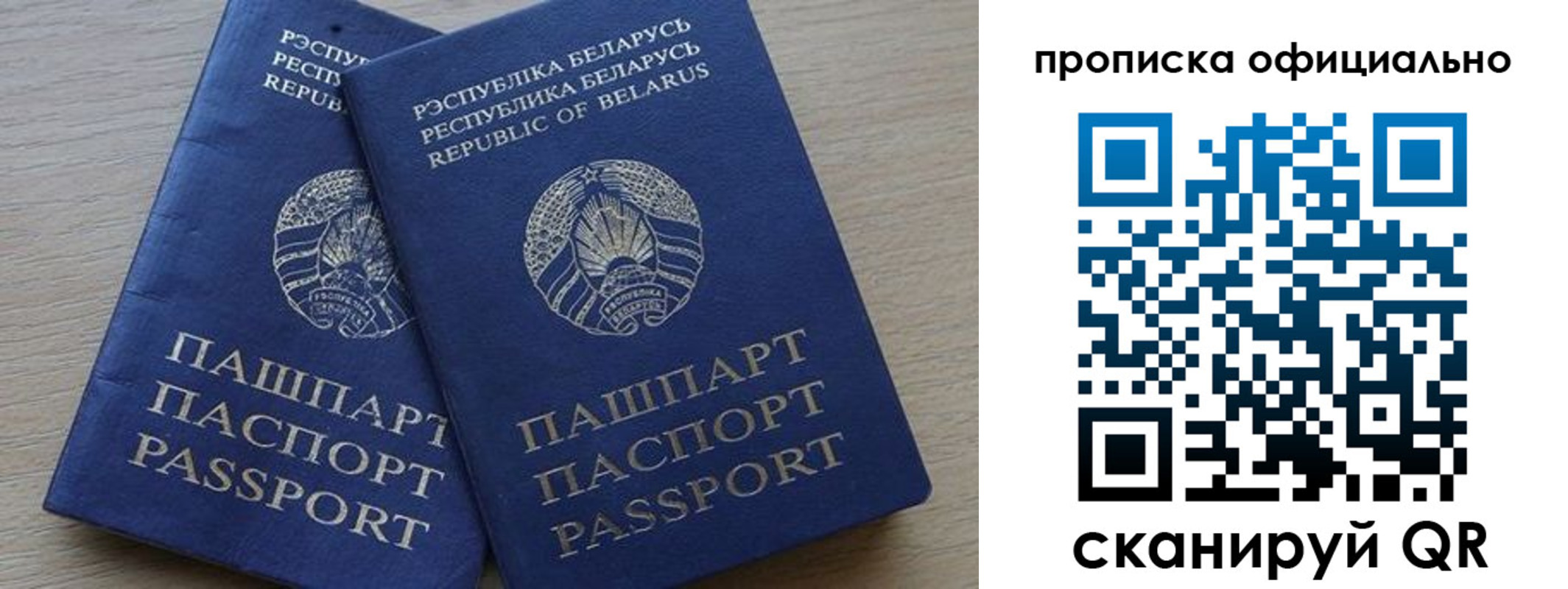 прописка поиск в Ртищево