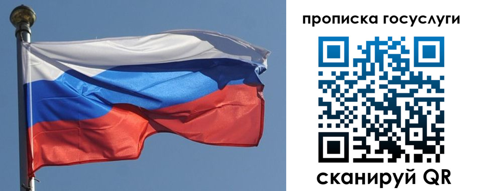 прописка в квартире в Ртищево